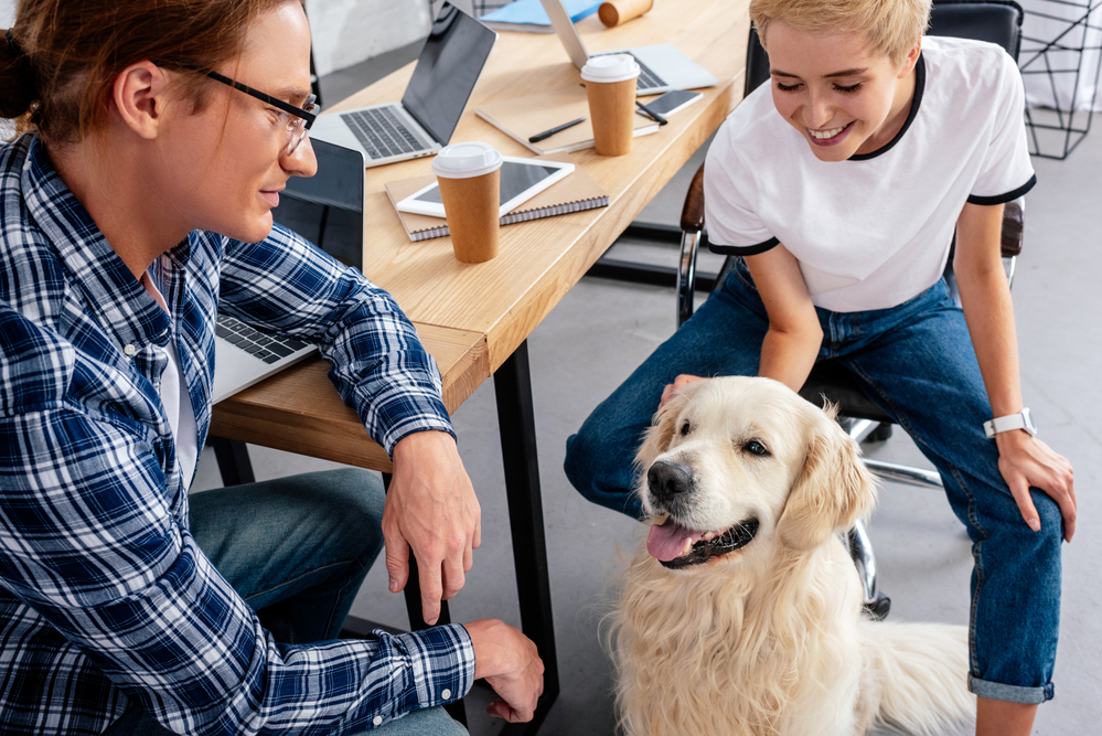 Should You Allow Pets at the Office? - Matchr