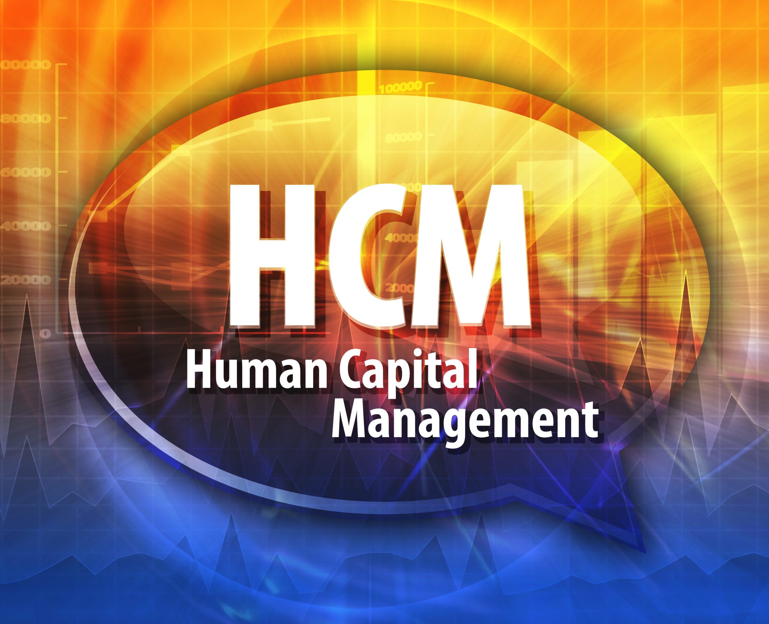 HCM Human Capital Management