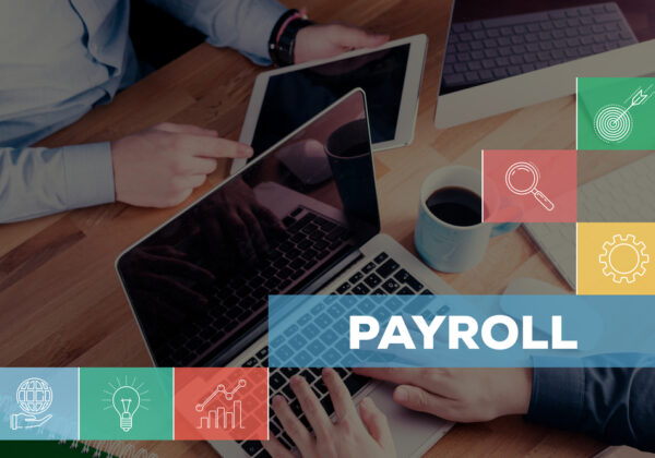 on-premise payroll software