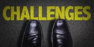 Challenges to HRIS Implementation