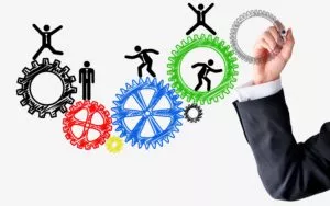 What Other Departments Does HR Need to Work With During a HRIS Project?