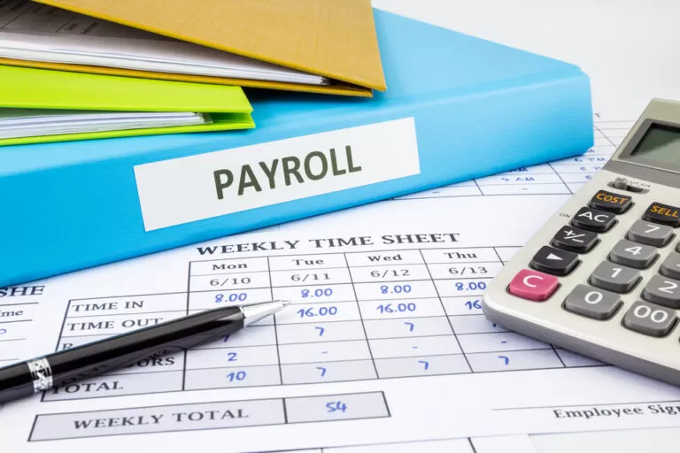 In-house payroll software