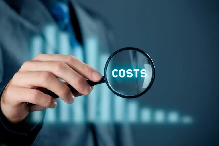 Payroll software costs